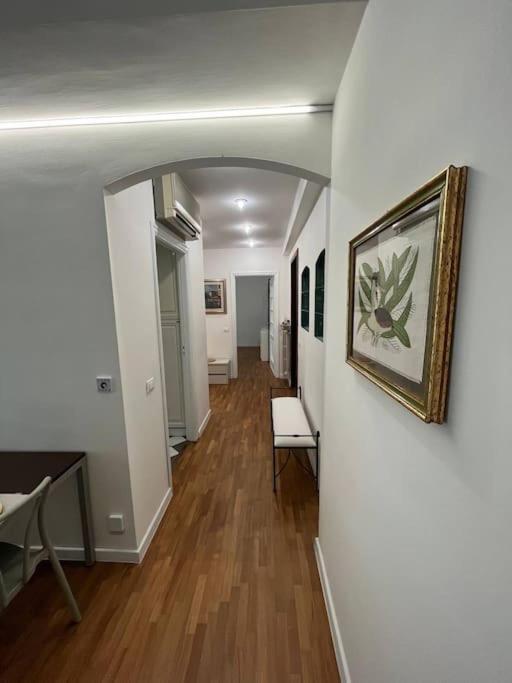 Appartamento Spazioso In Centro بياتشينسا المظهر الخارجي الصورة